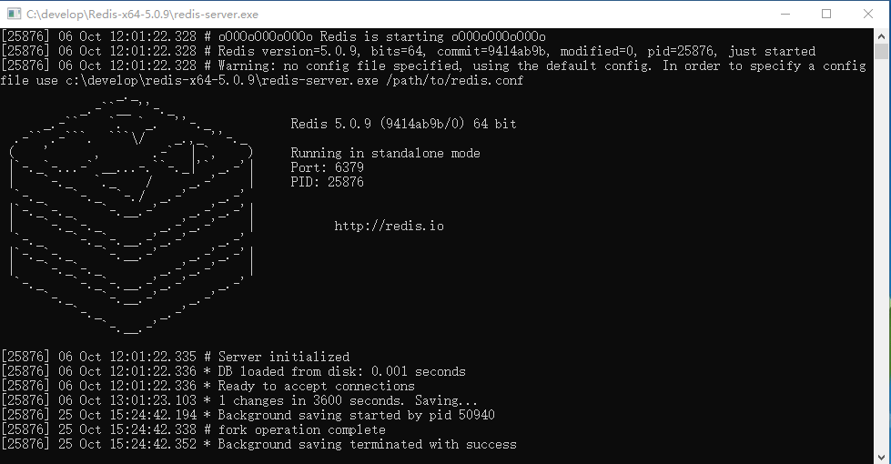 Redis Server
